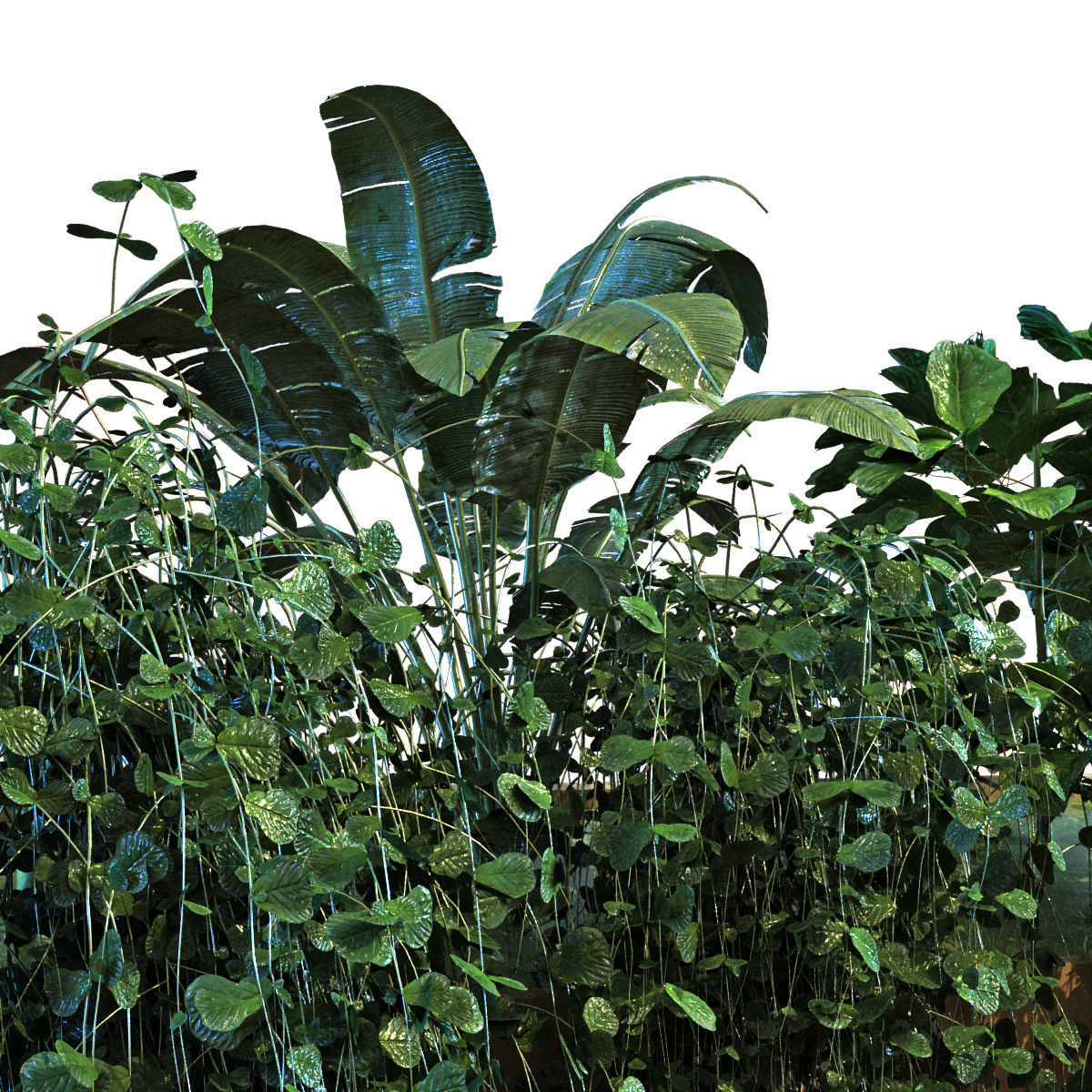 plant in box set 041 Low-poly 3D model_2