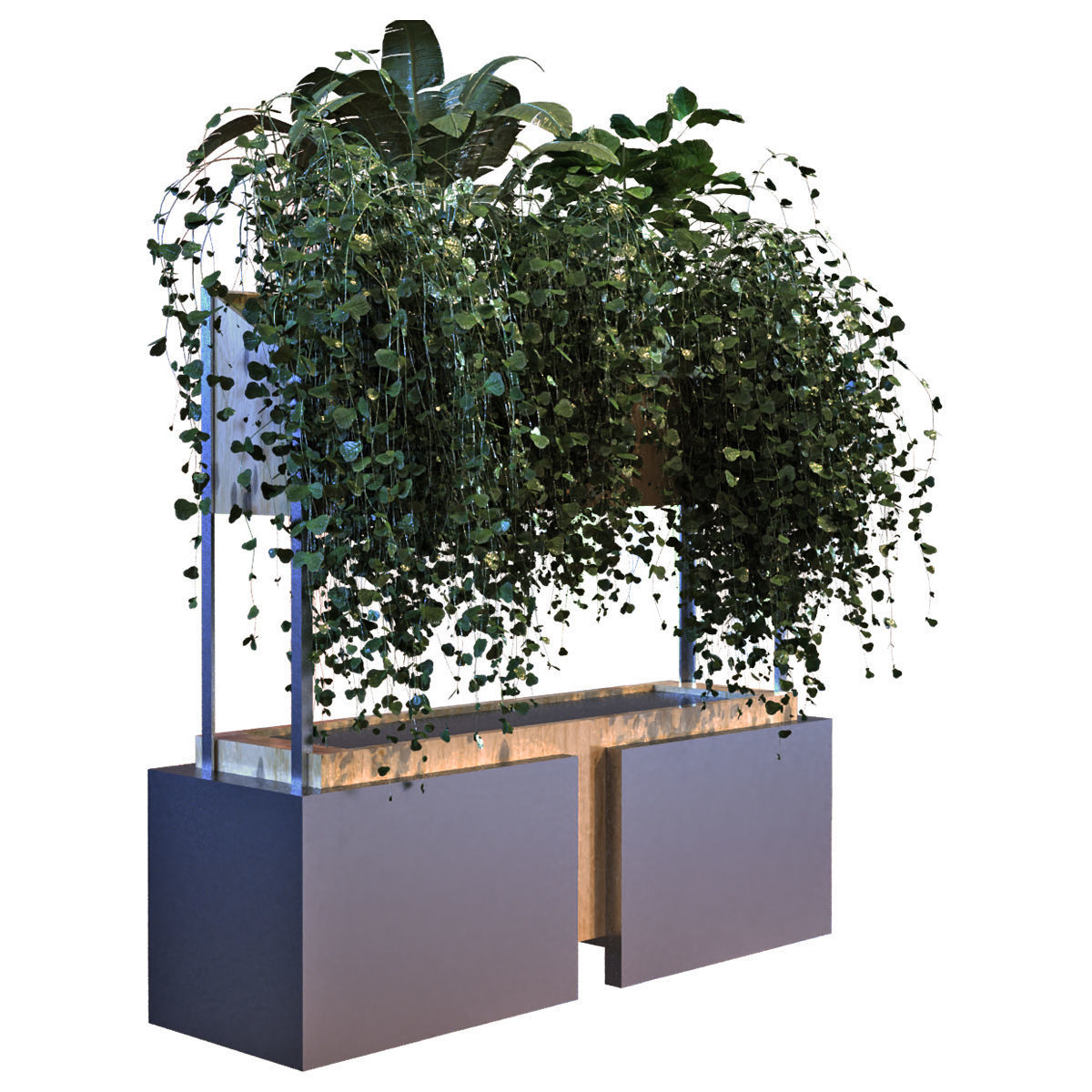 plant in box set 041 Low-poly 3D model_1