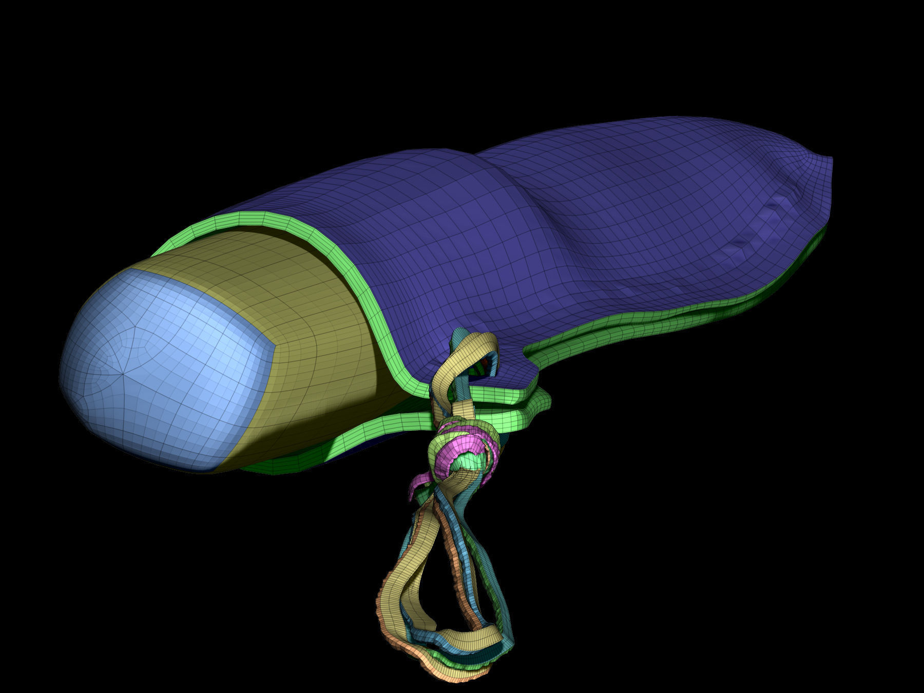 Knife and sheath midieval 3D scan Low-poly 3D model_20