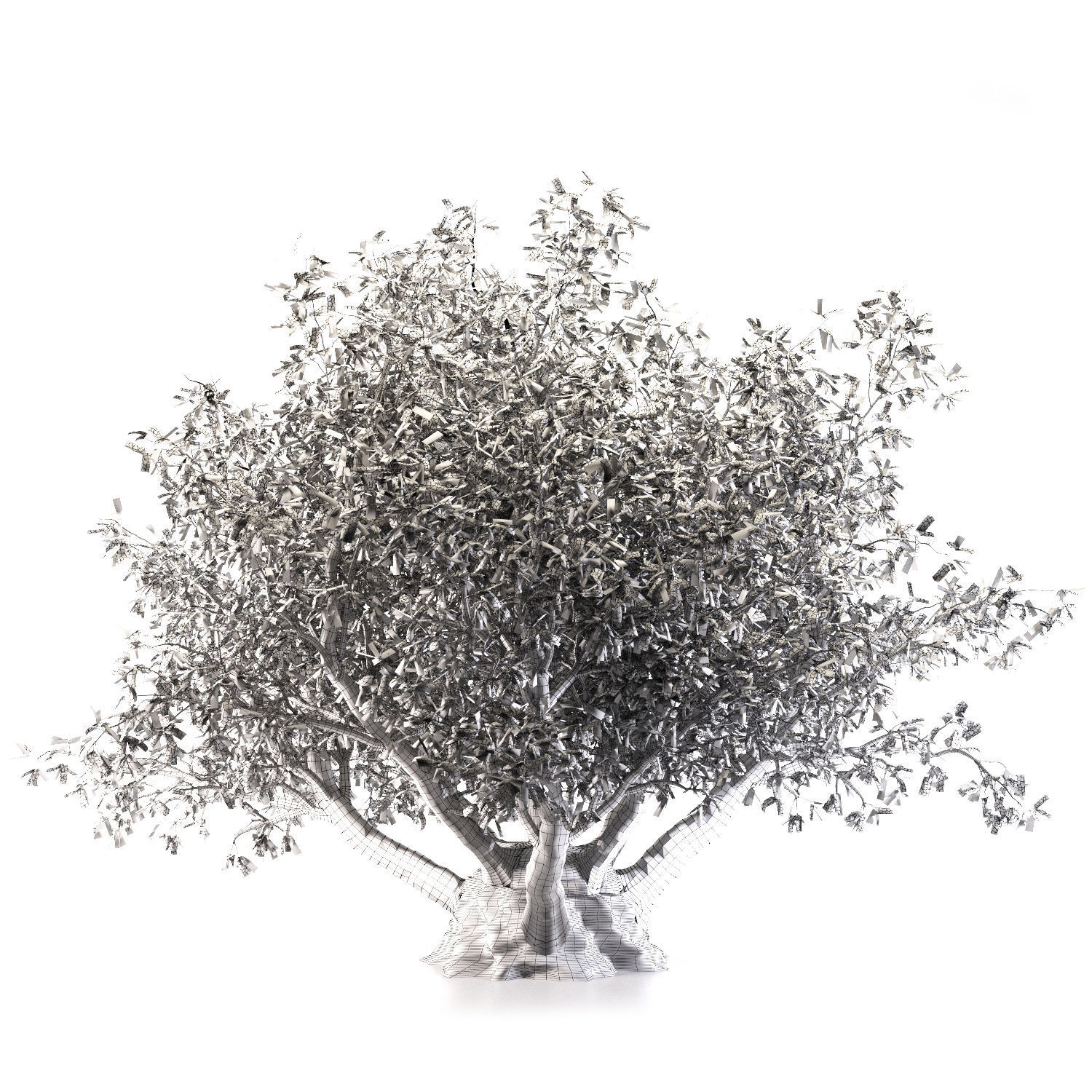 Olive tree 3D model_1