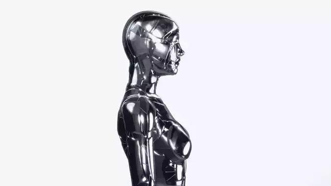 Rigged SILVER DROID Female 3D model