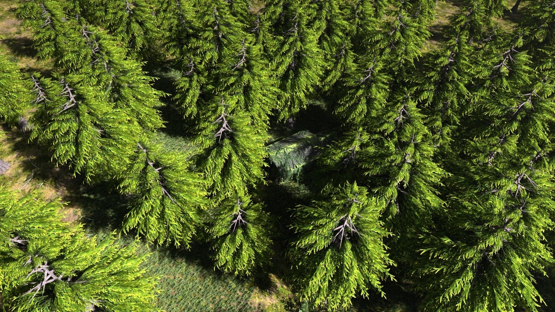 Abandoned Shack in Forest Scene 3D model_6