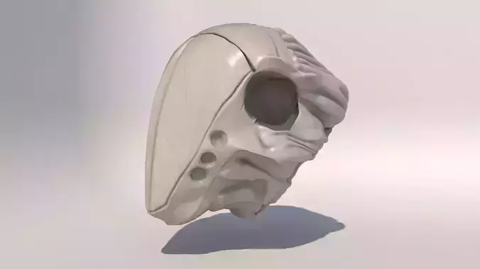 Helmet Sculpt