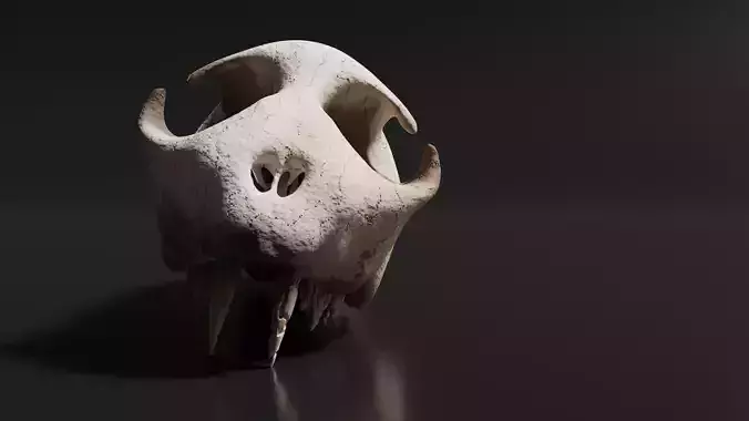 Cat Skull Free 3D model