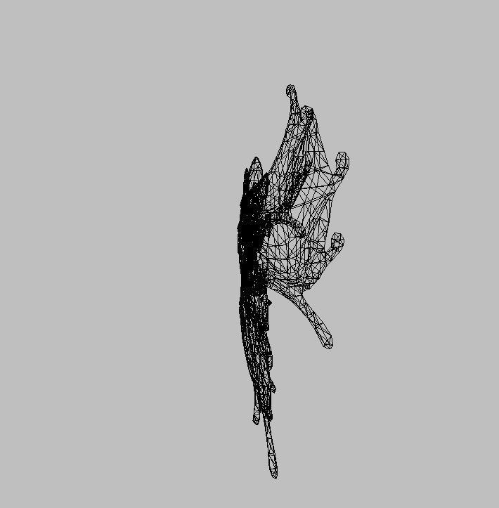 Blue Wing Low-poly 3D model_5