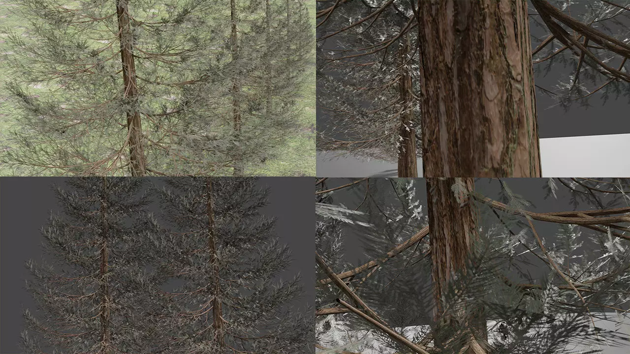 Set of realistic fir trees Free low-poly 3D model