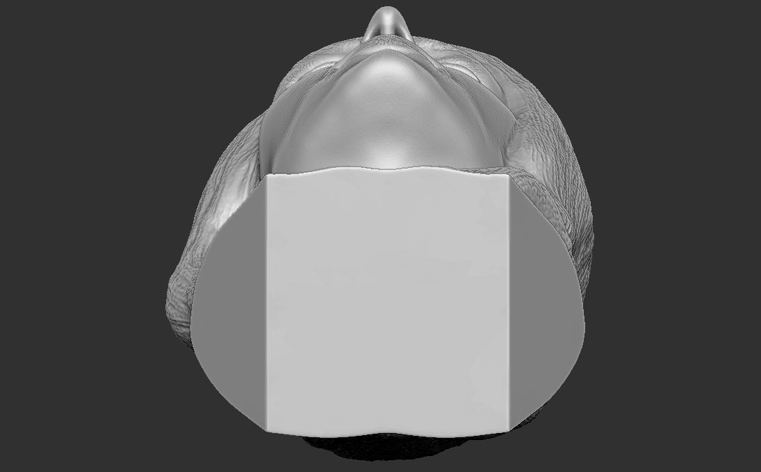Paris Hilton bust 3D printing ready stl obj formats 3D print model_24