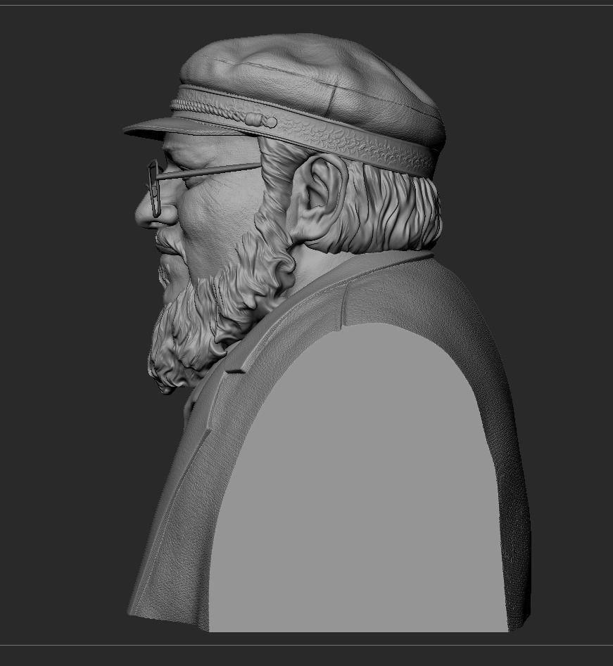 George RR Martin Bust 3D print model_9