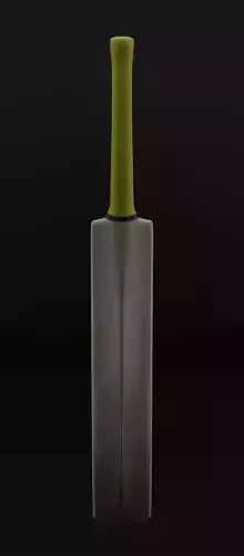 Cricket bat