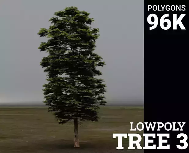 Tree 3 Lowpoly pine 3D model