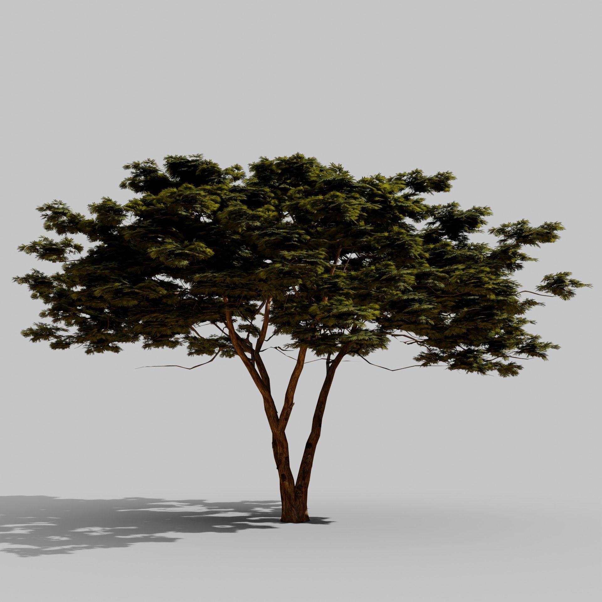 Tree 4 Lowpoly - 3D model_3