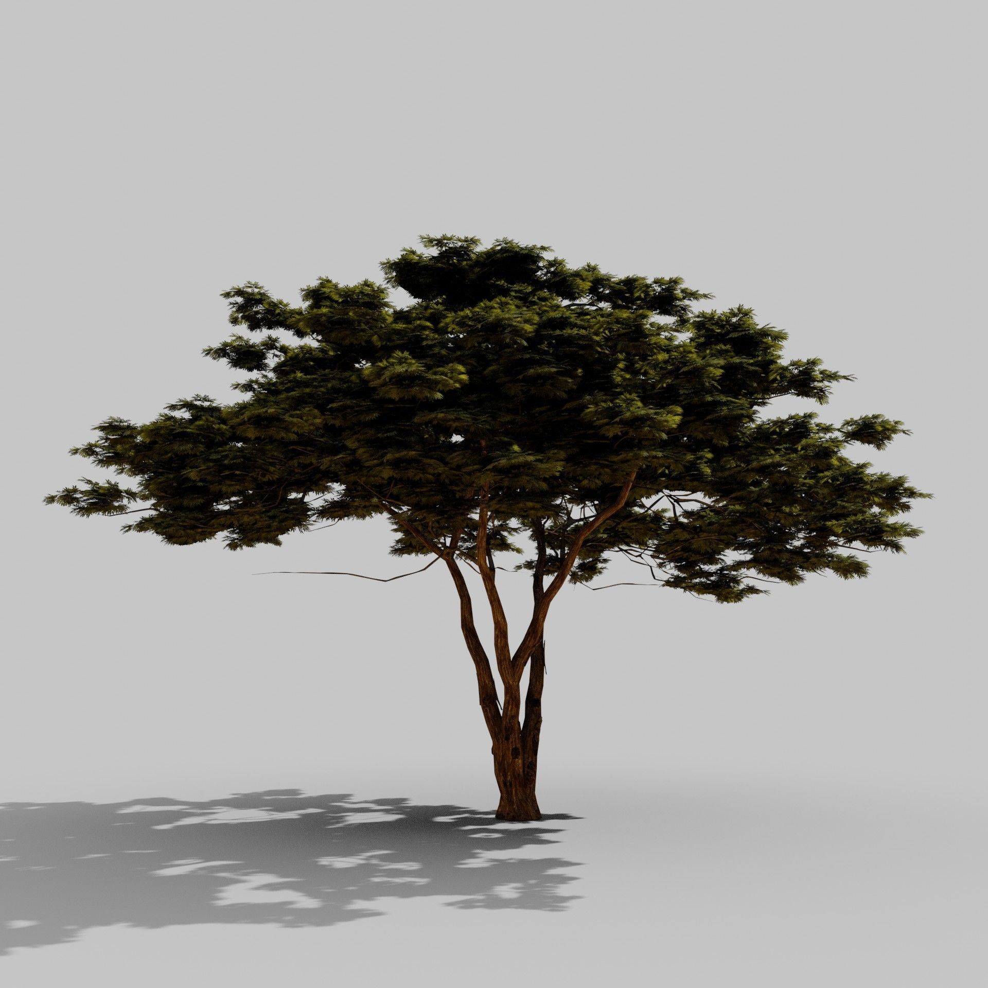 Tree 4 Lowpoly - 3D model_2