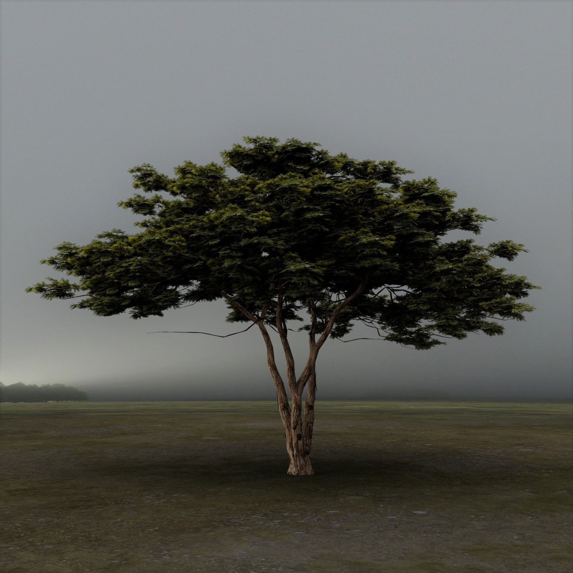 Tree 4 Lowpoly - 3D model_1