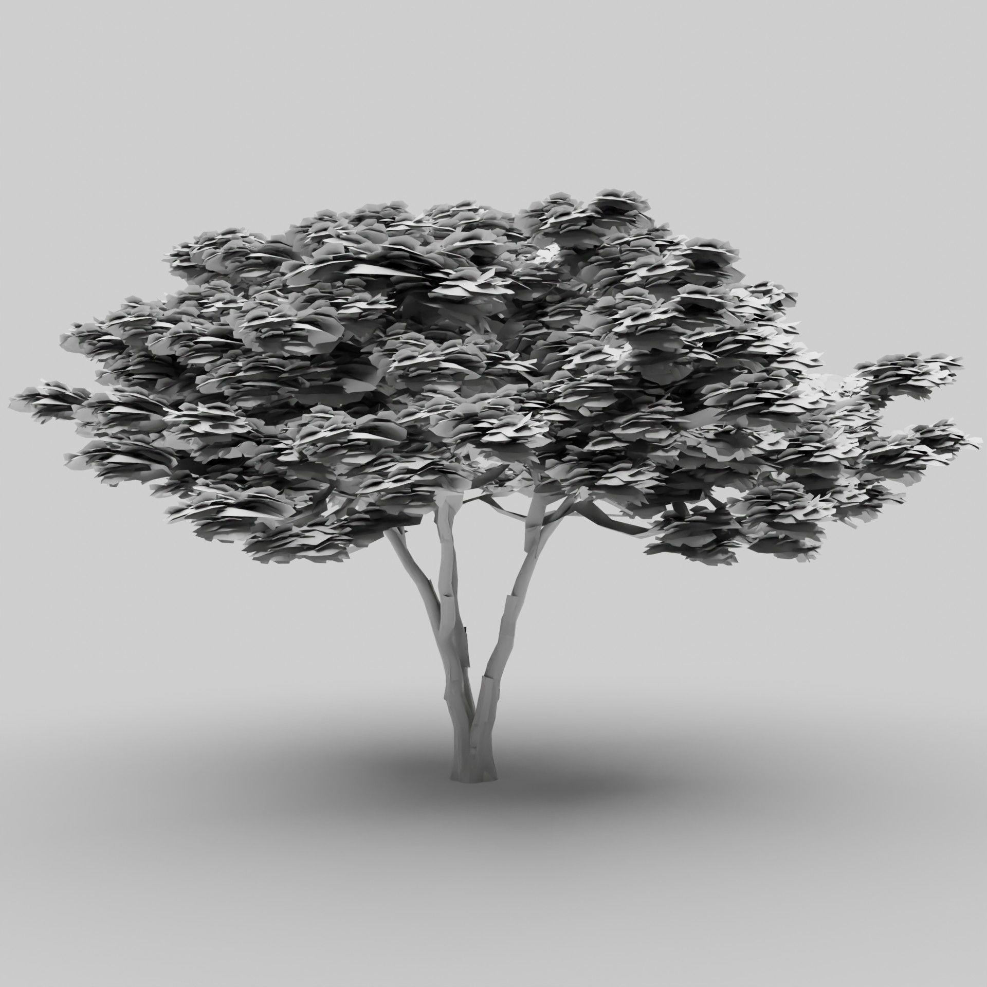 Tree 4 Lowpoly - 3D model_6
