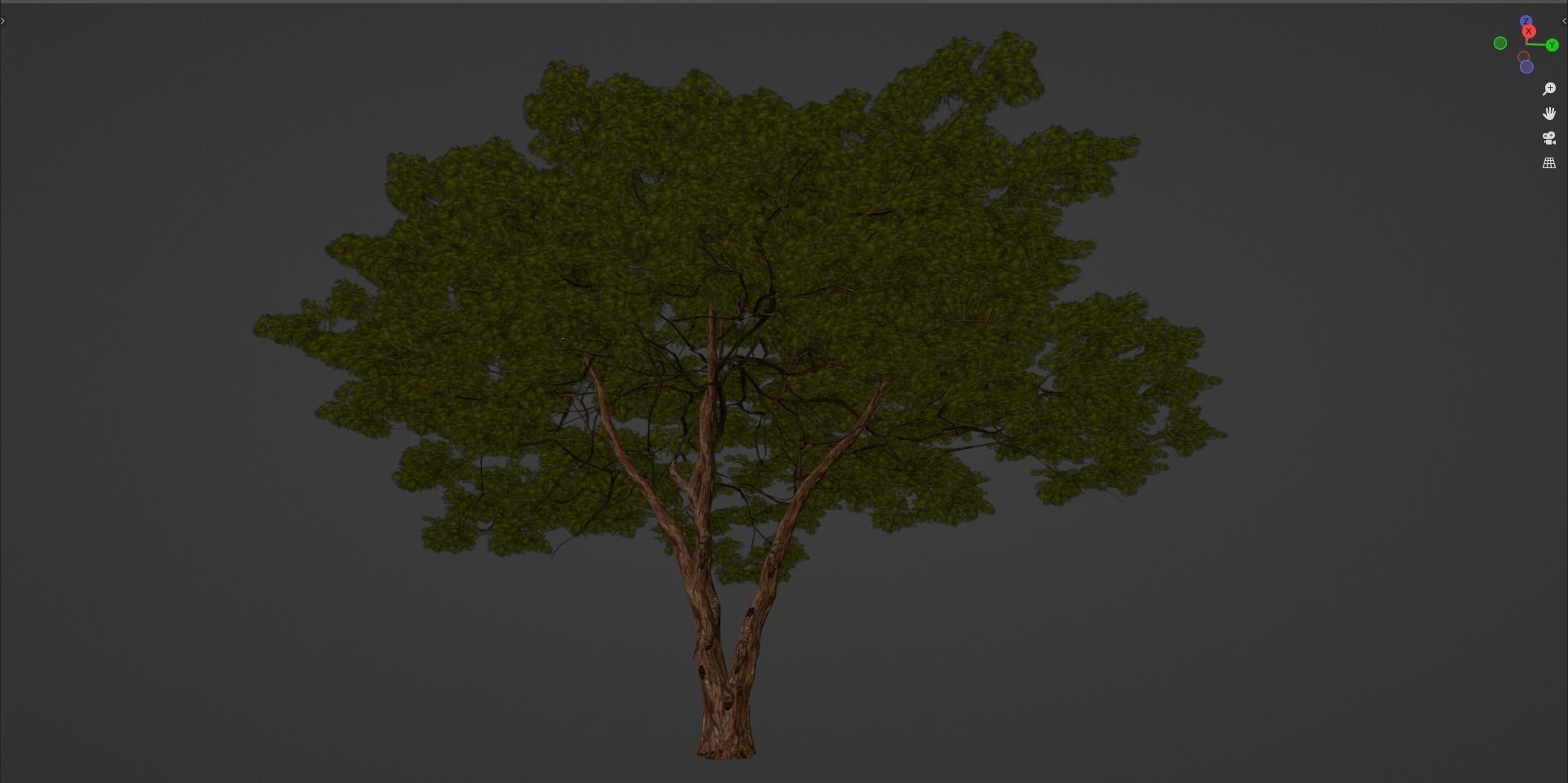 Tree 4 Lowpoly - 3D model_8