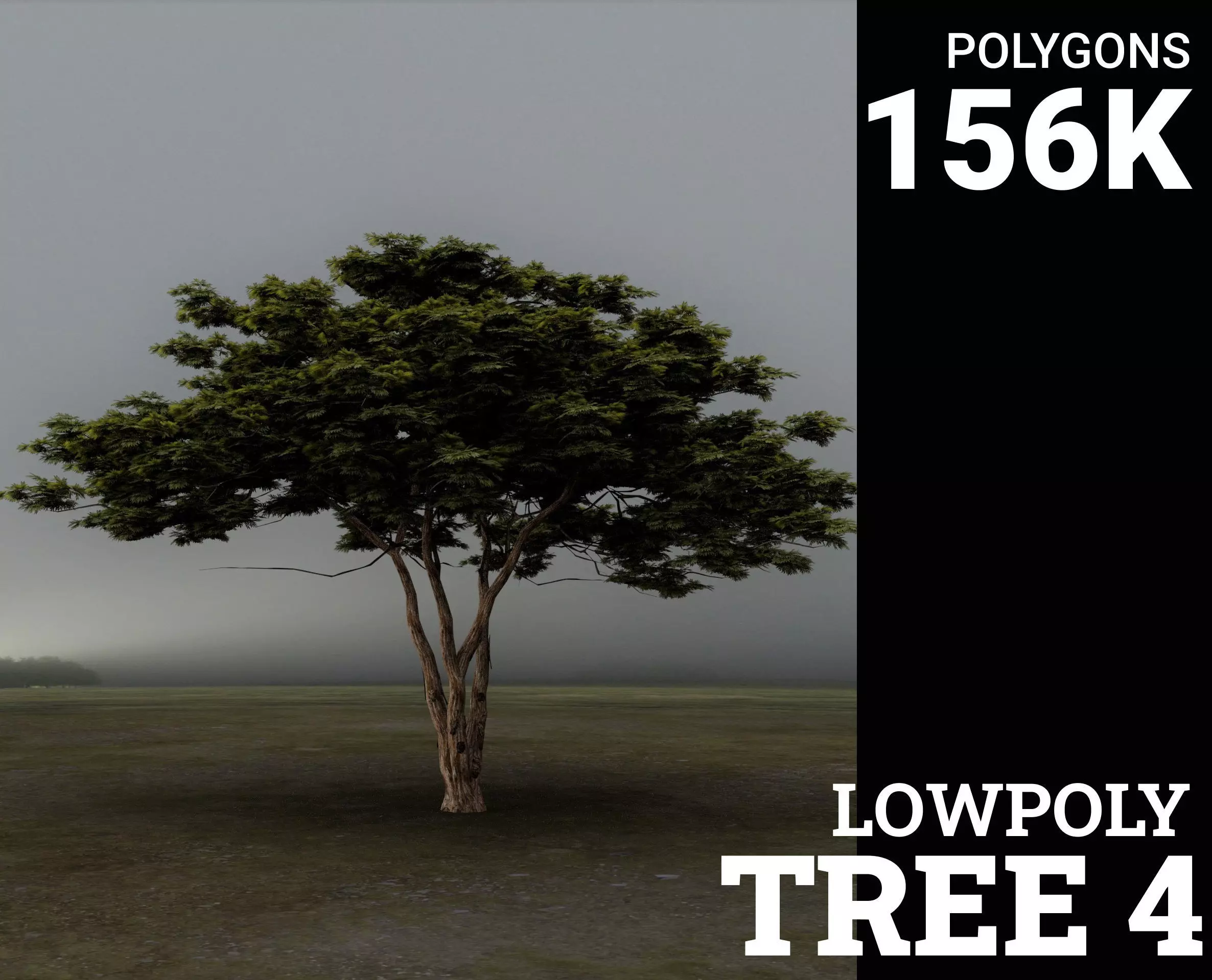 Tree 4 Lowpoly - 3D model_0