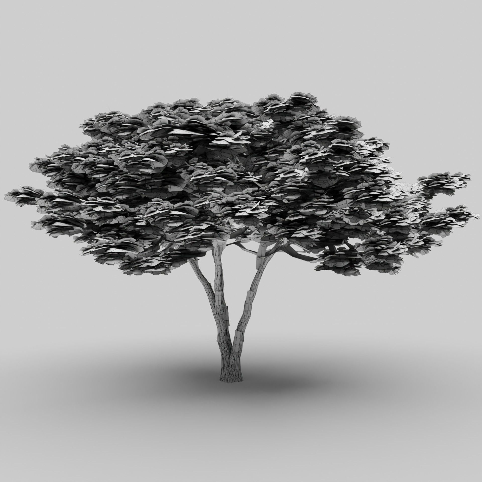 Tree 4 Lowpoly - 3D model_7