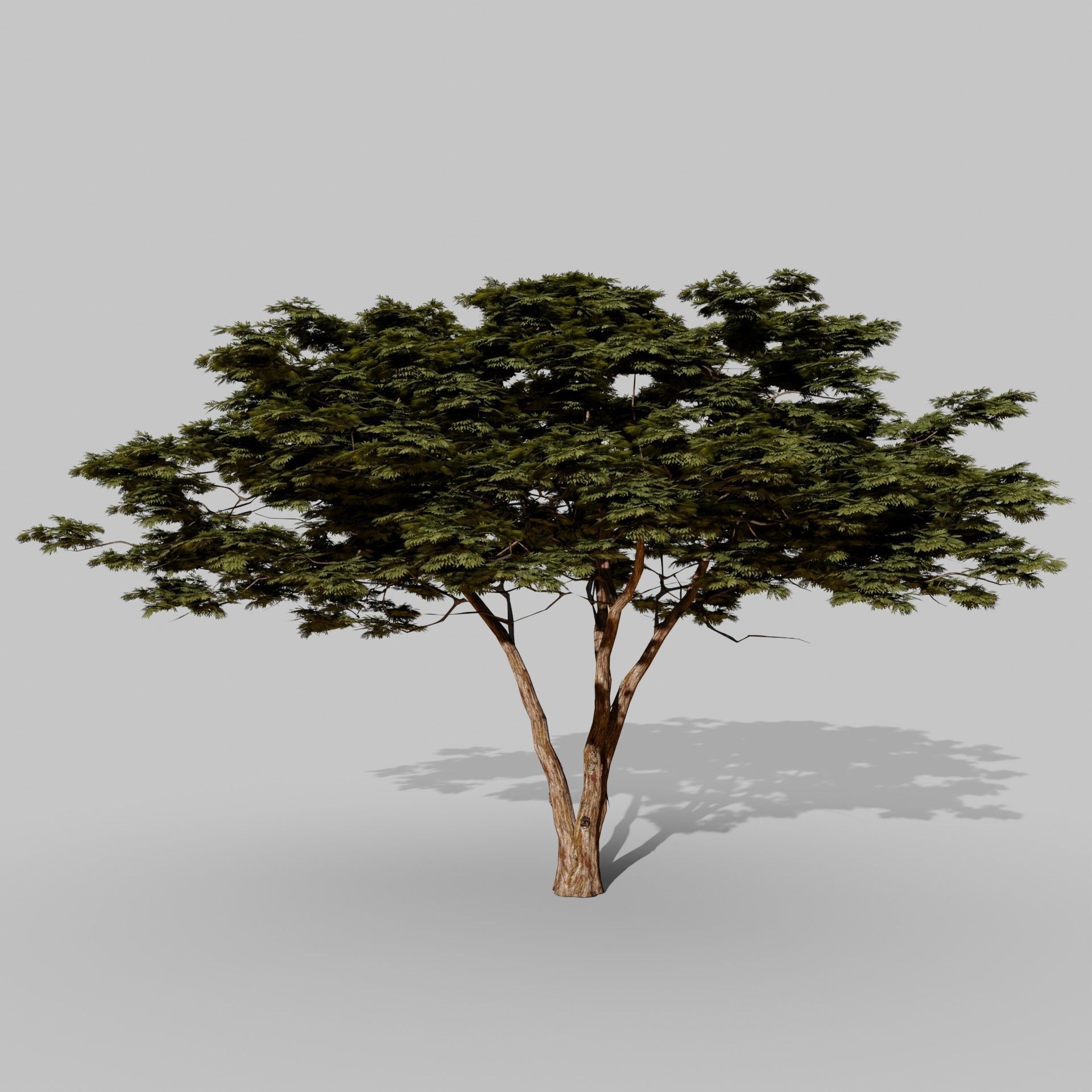 Tree 4 Lowpoly - 3D model_4