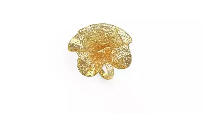 Ultra Vision Ring 134