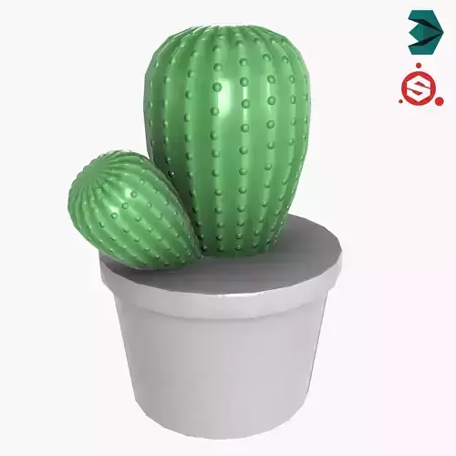 Just Cactus