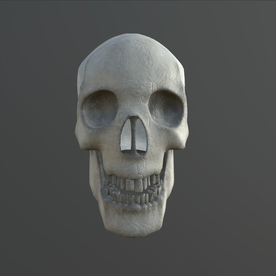 Dirty Human Skull With Teeth Free low-poly 3D model_4