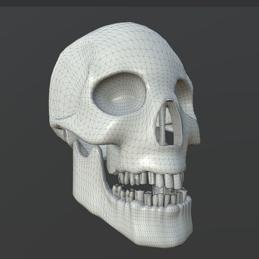 Dirty Human Skull With Teeth Free low-poly 3D model_6