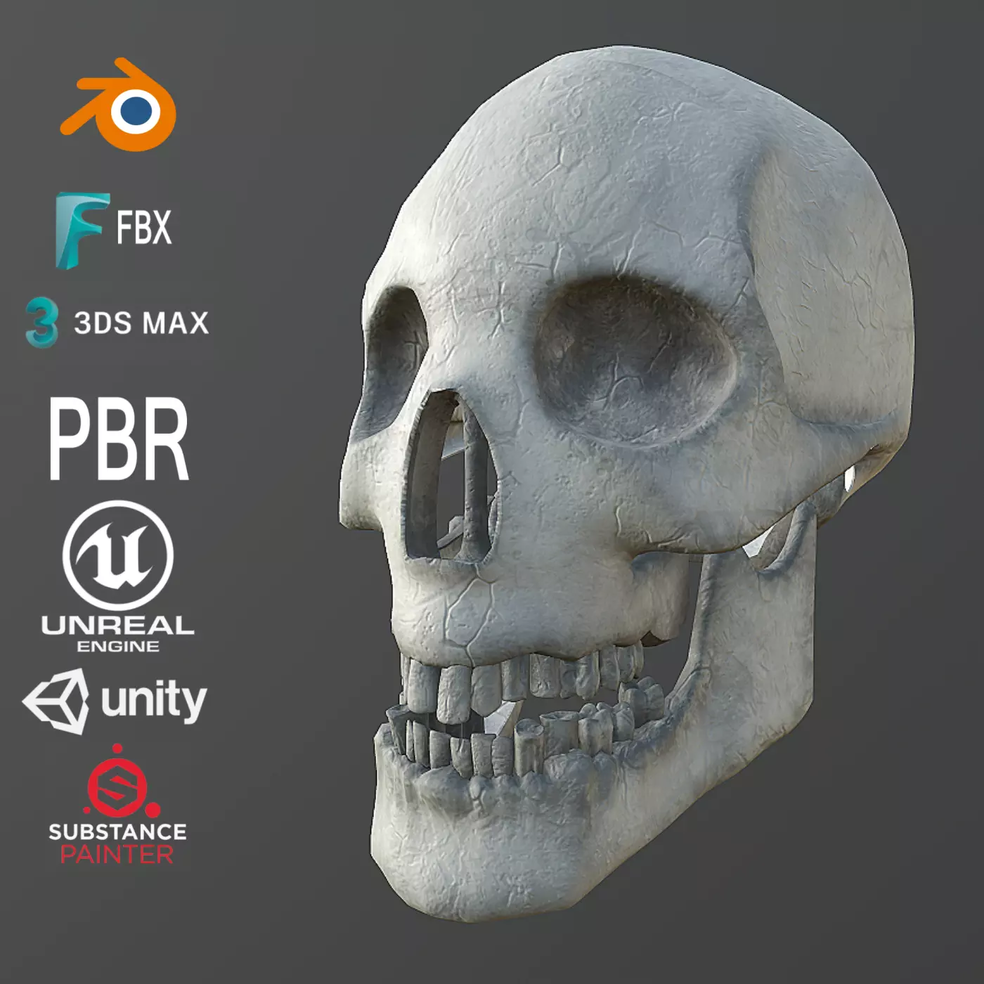Dirty Human Skull With Teeth Free low-poly 3D model_0