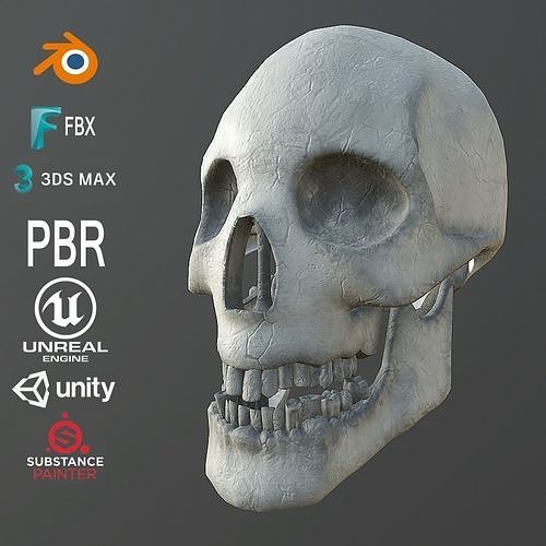 Dirty Human Skull With Teeth Free low-poly 3D model