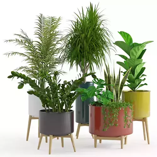 Houseplant 59 3D model