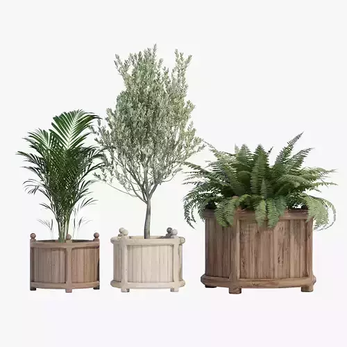 Versailles three wooden planters 3D model