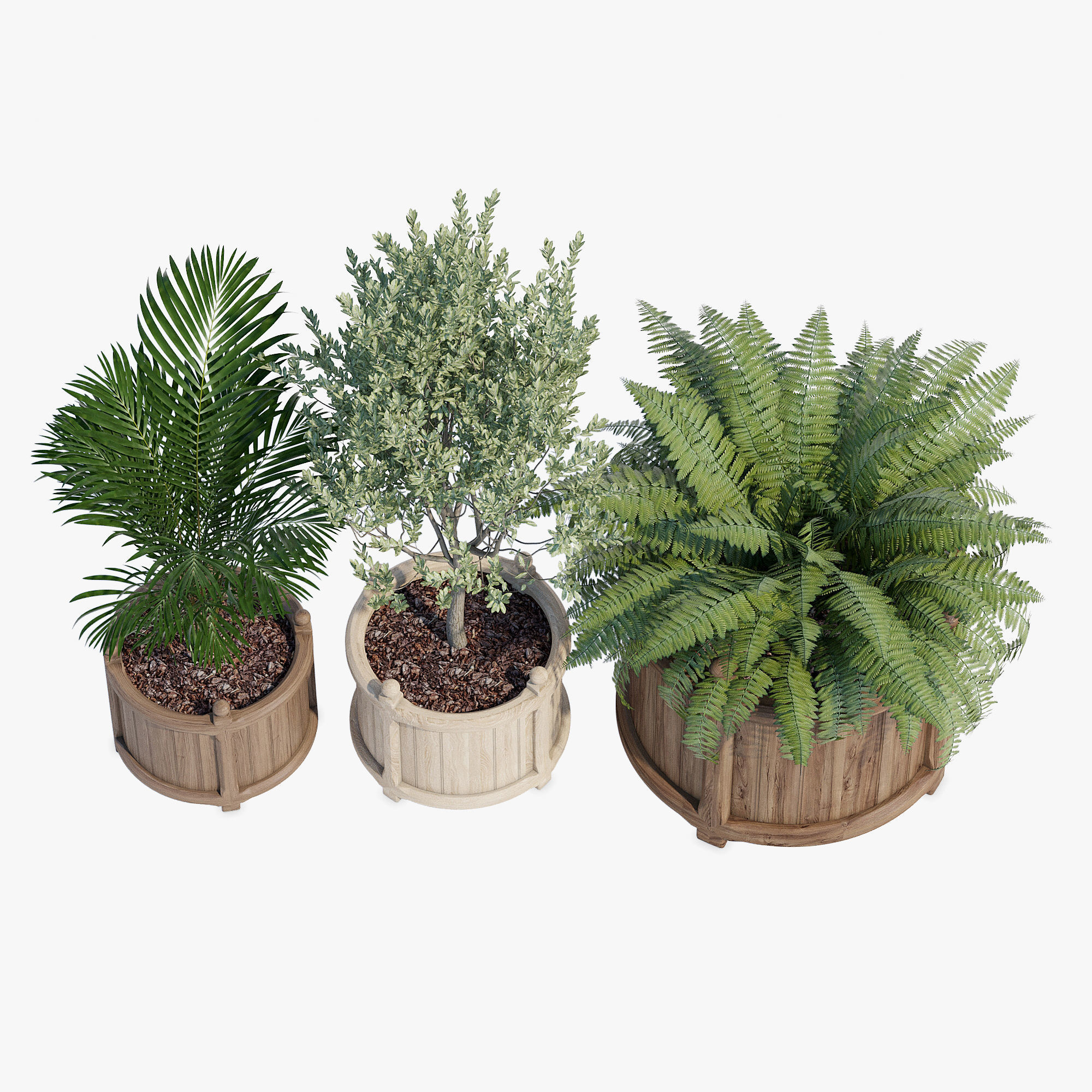 Versailles three wooden planters 3D model_1