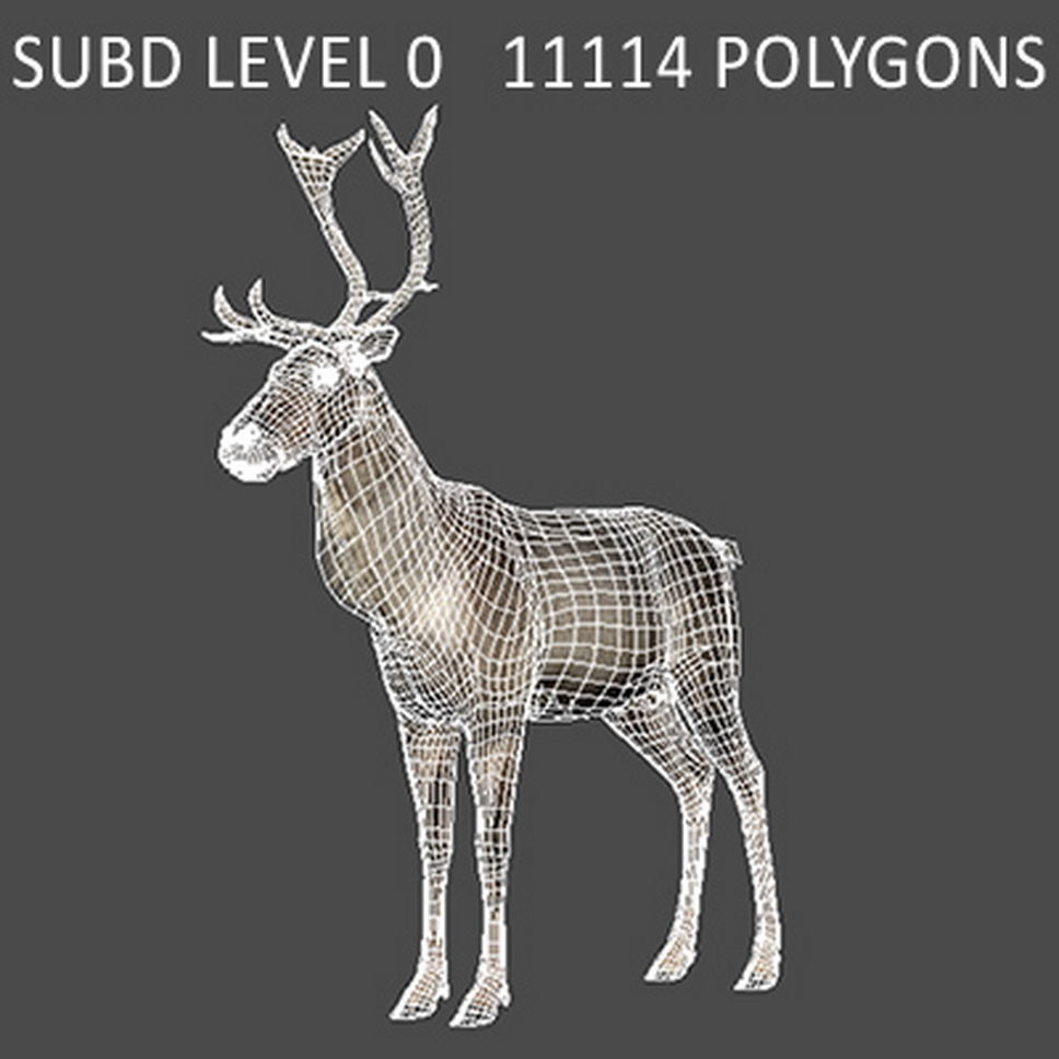 Rigged Reindeer 3D model_7