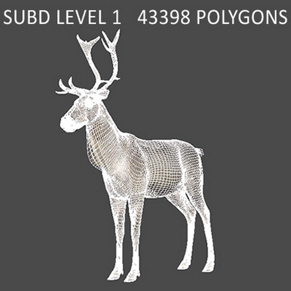 Rigged Reindeer 3D model_6