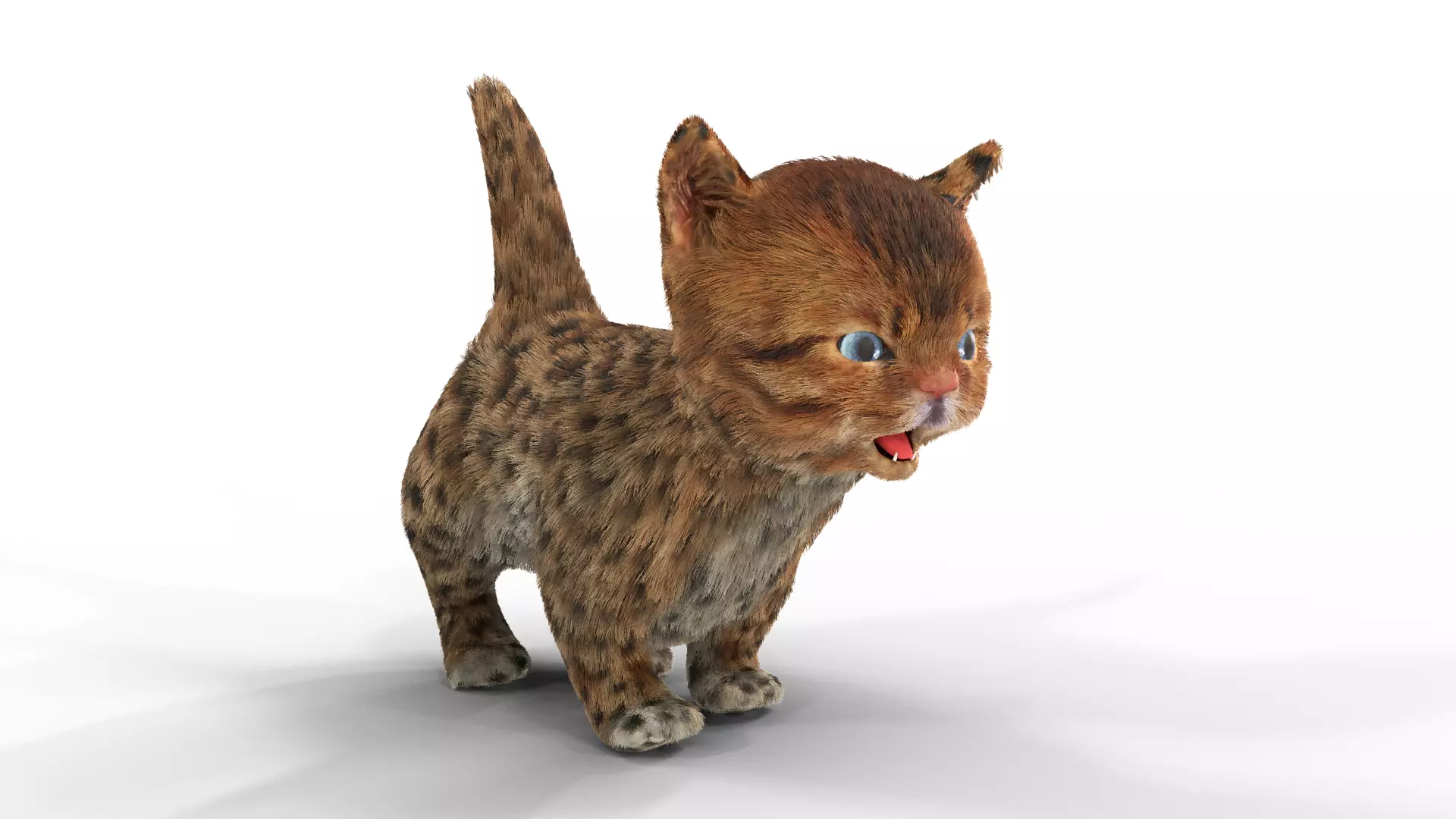 Cute kitten Fur Animated 02 Low-poly 3D model_0