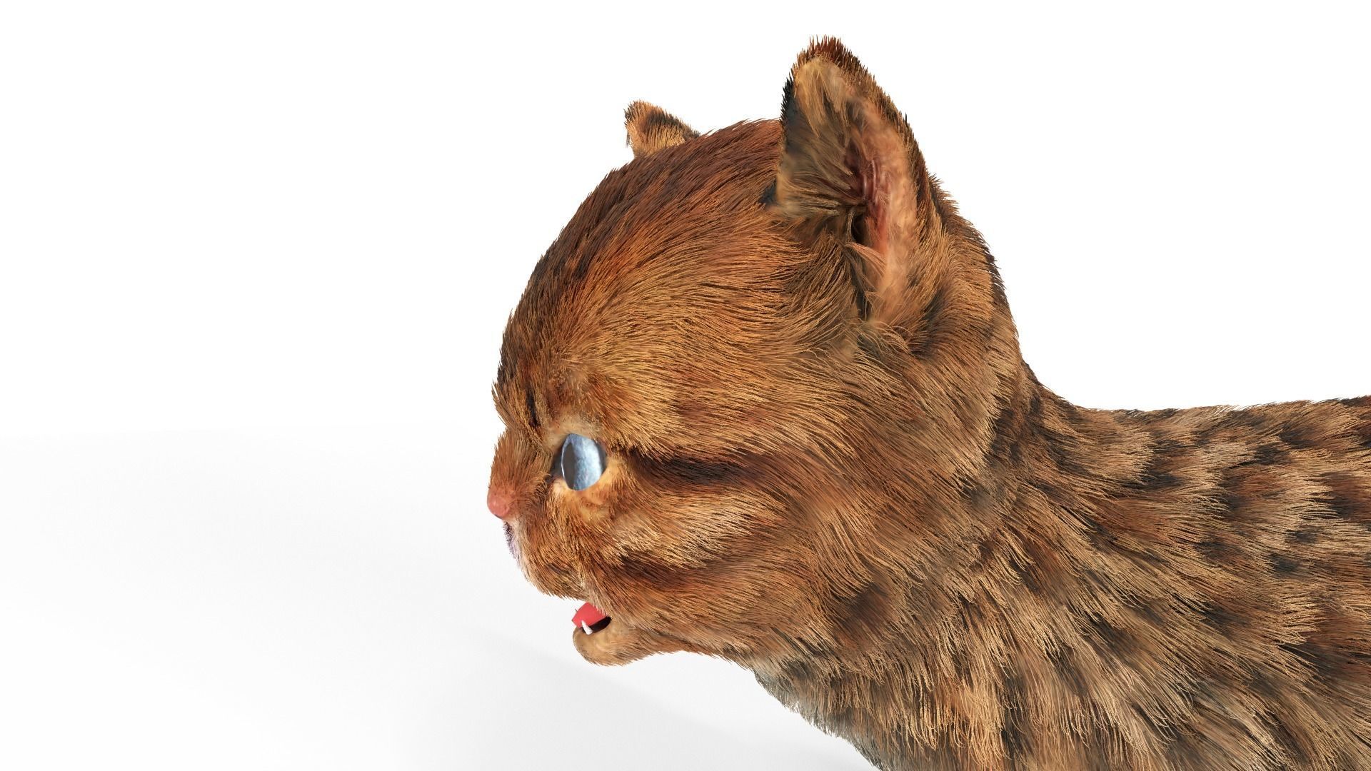 Cute kitten Fur Animated 02 Low-poly 3D model_6