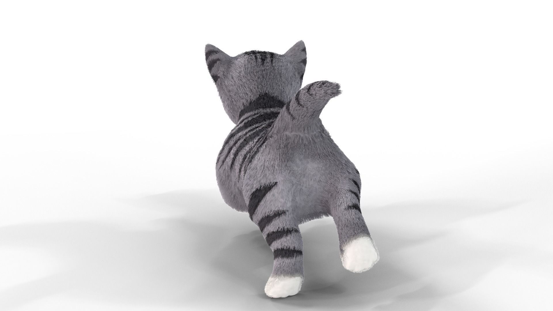 Cute Fur Kitten Gray Animated Low-poly 3D model_3