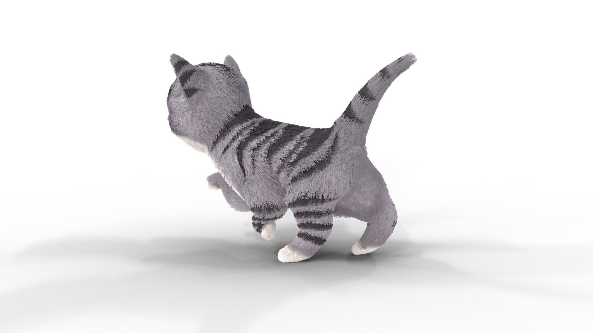 Cute Fur Kitten Gray Animated Low-poly 3D model_5