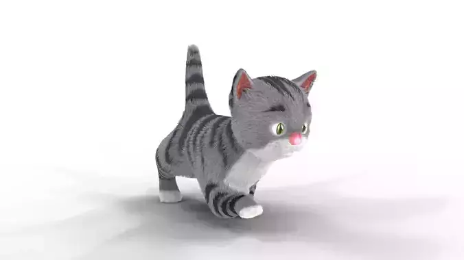 Cute Fur Kitten Gray Animated 