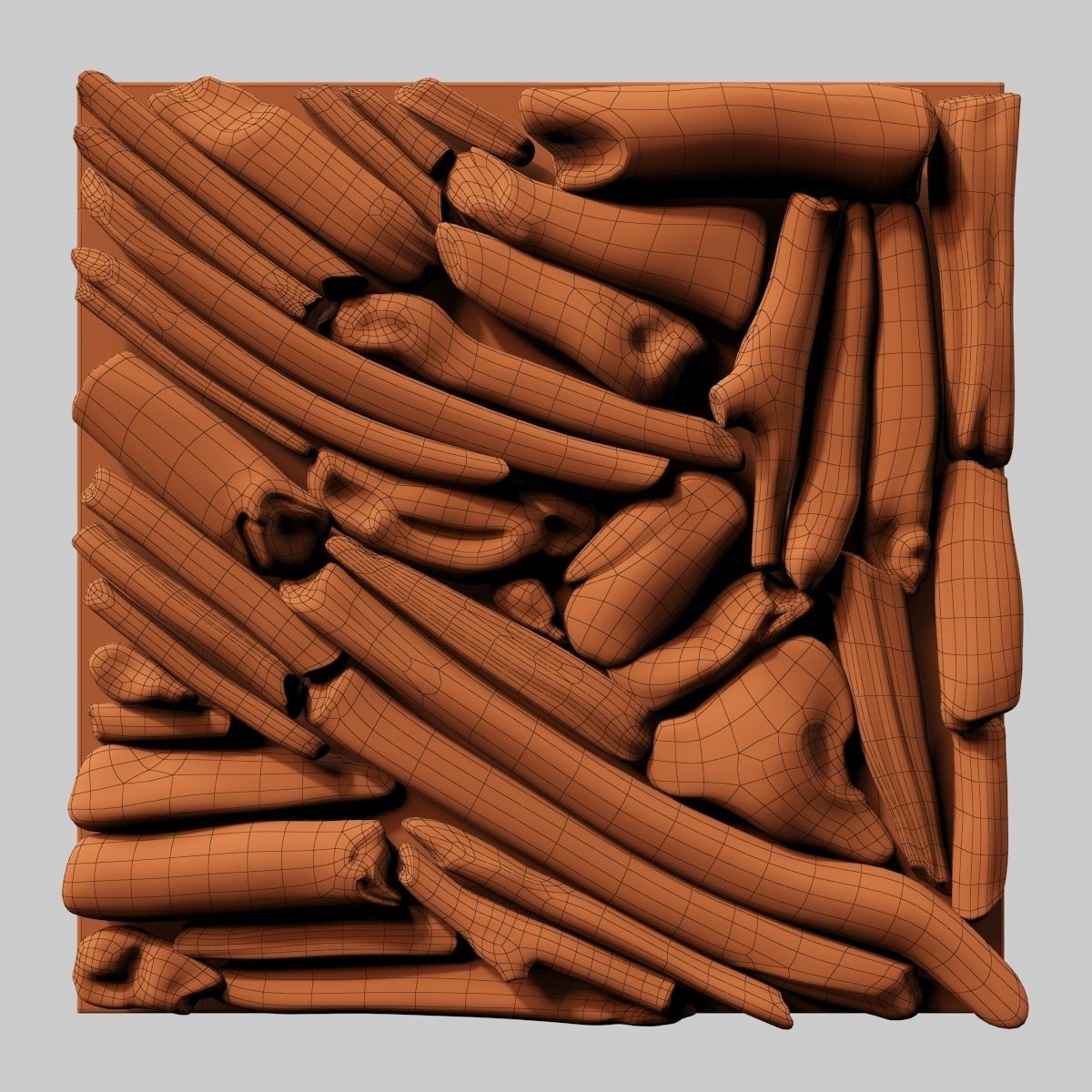 Rectangle  panel branch splinter Big n3 3D model_22