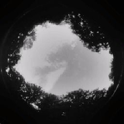 AudiA8 top car Low-poly 3D model_17