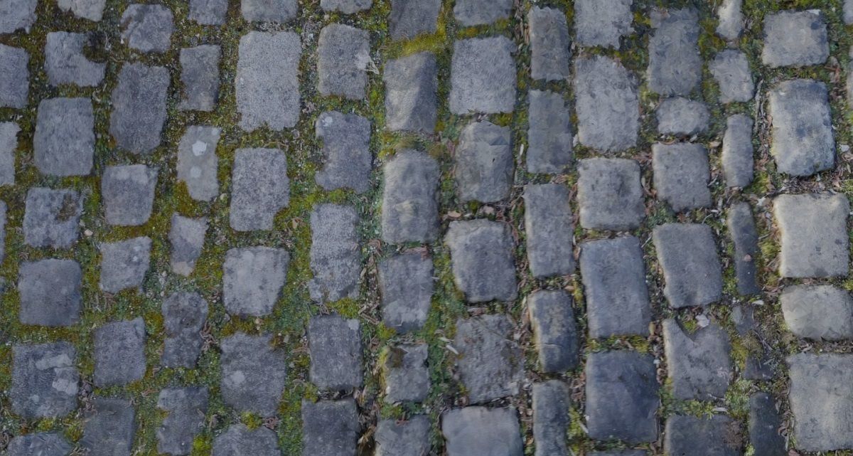 Cobblestones 3D Model Texture_7