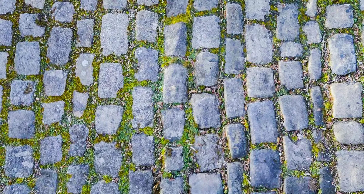 Cobblestones 3D Model Texture_0