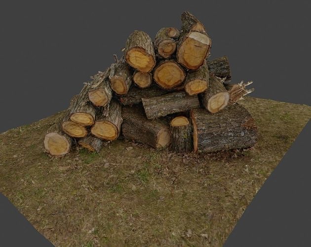 Wood log slide 3D model