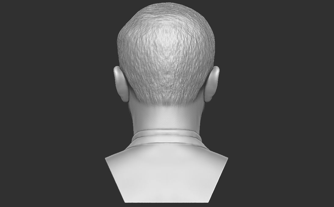 Alexey Navalny bust 3D printing ready stl obj formats 3D print model_12