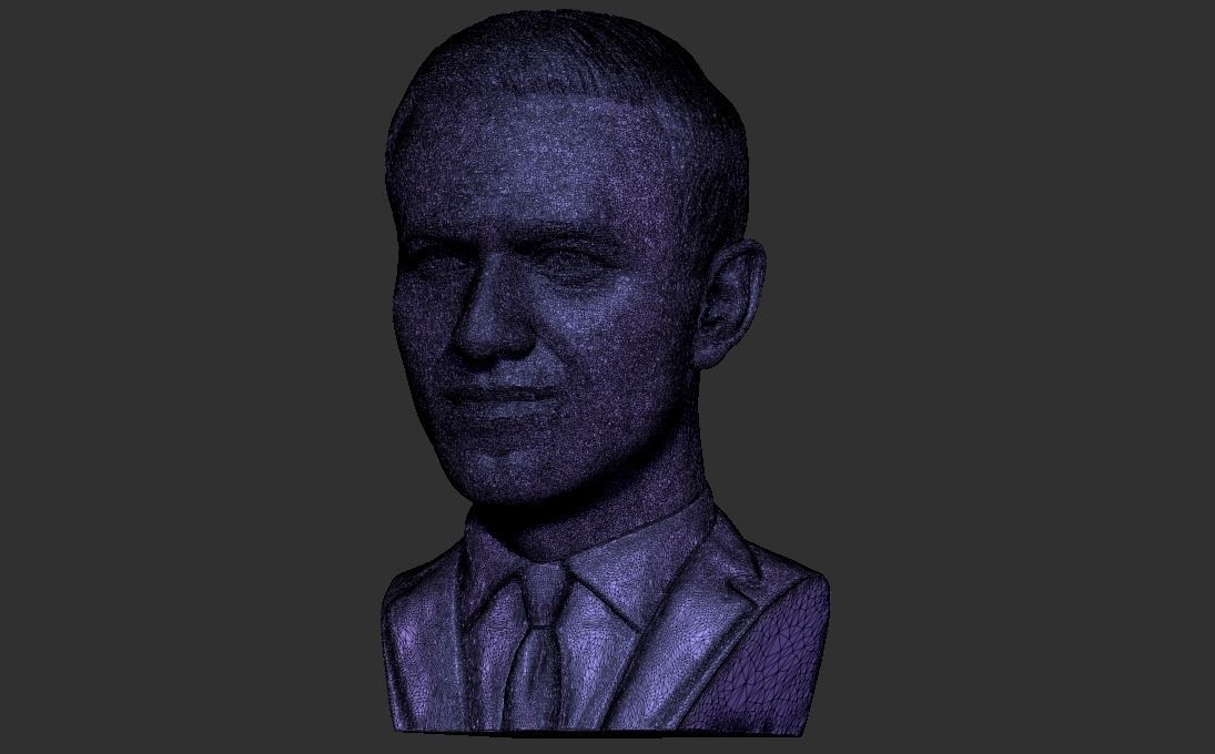 Alexey Navalny bust 3D printing ready stl obj formats 3D print model_33