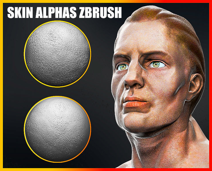 Skin Alphas for ZBrush 3D model
