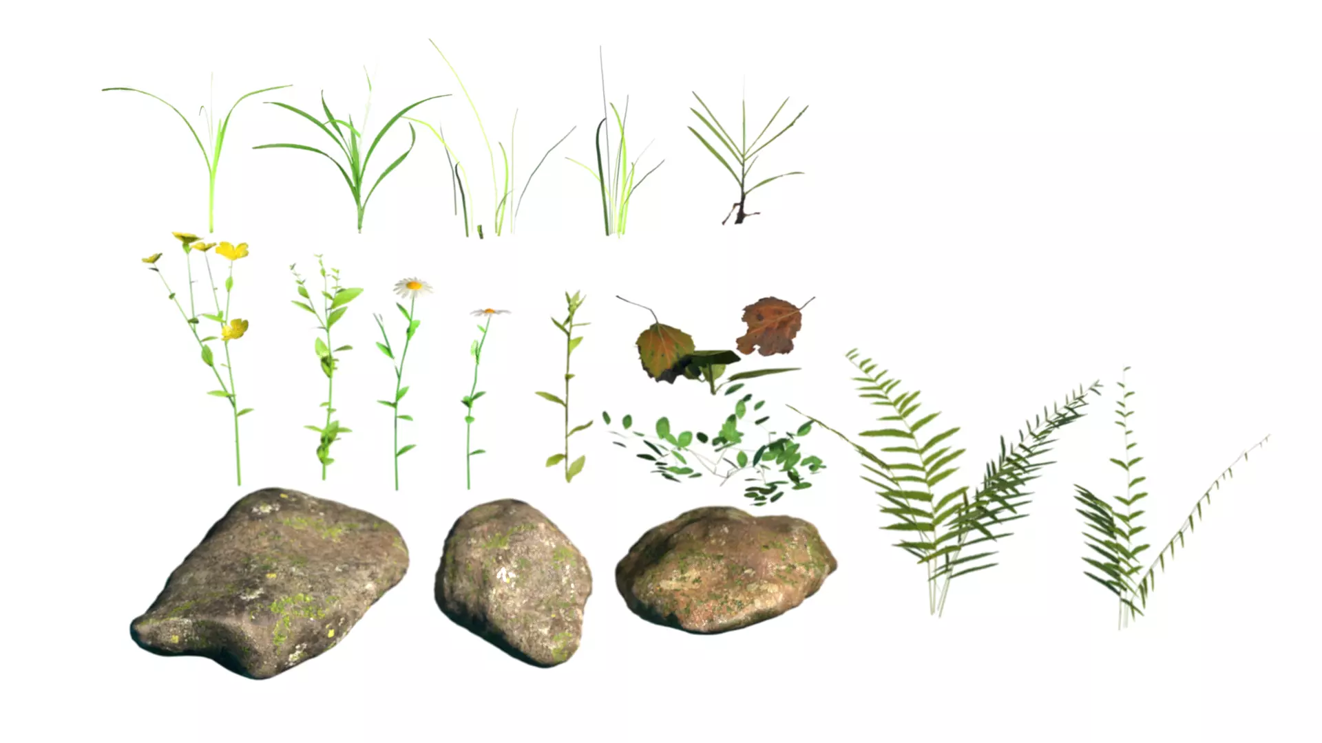 Grass and rocks pack 3D model | CGTrader