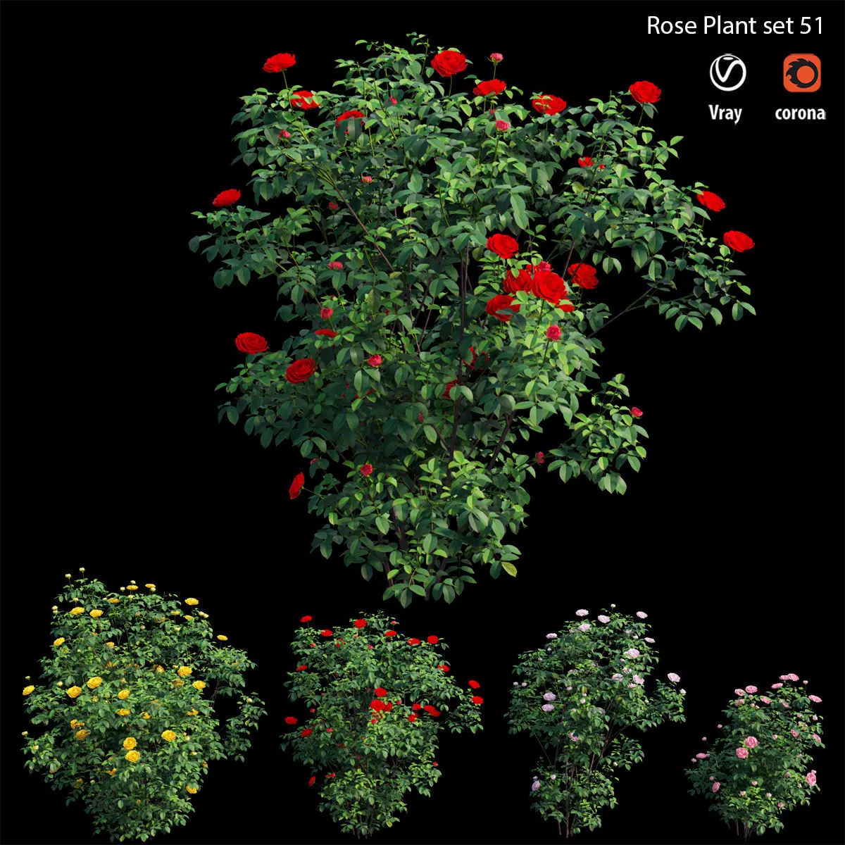 Rose plant set 51 3D model
