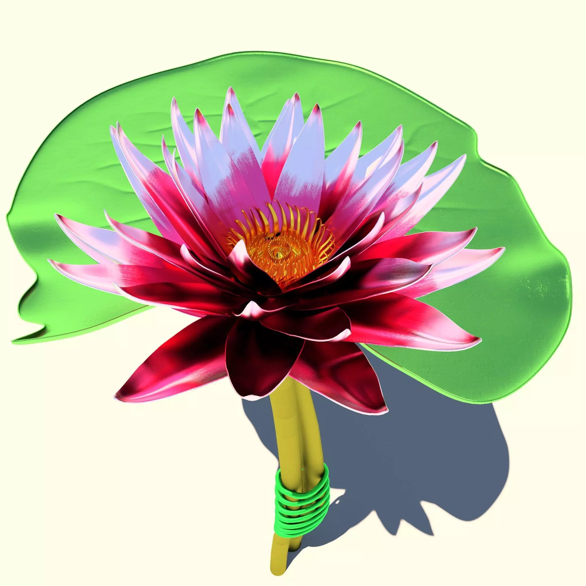 Lotus Swamp lily 3D model