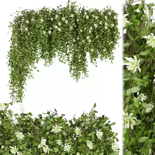 Collection plant vol 92